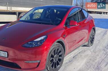 Внедорожник / Кроссовер Tesla Model Y 2024 в Фастове