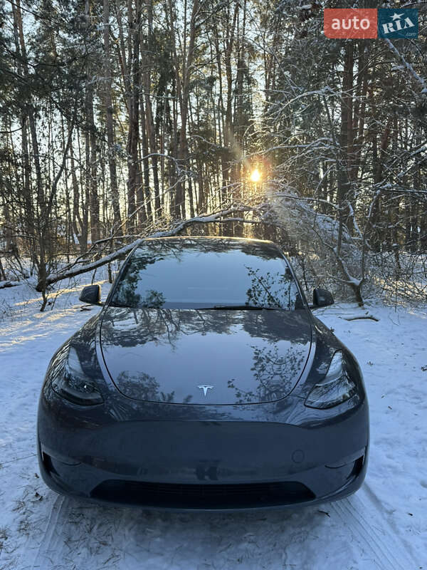 Внедорожник / Кроссовер Tesla Model Y 2023 в Василькове