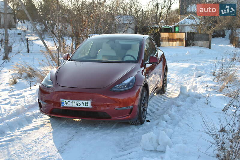 Позашляховик / Кросовер Tesla Model Y 2024 в Луцьку
