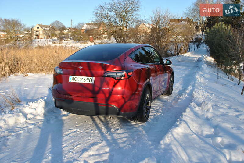 Позашляховик / Кросовер Tesla Model Y 2024 в Луцьку