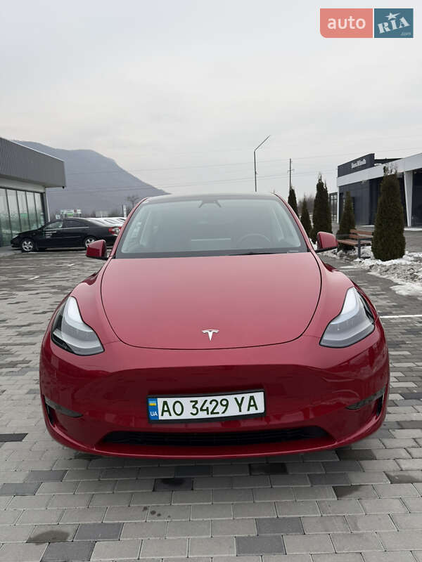 Позашляховик / Кросовер Tesla Model Y 2023 в Хусті фото 3 Позашляховик / Кросовер Tesla Model Y 2023 в Хусті