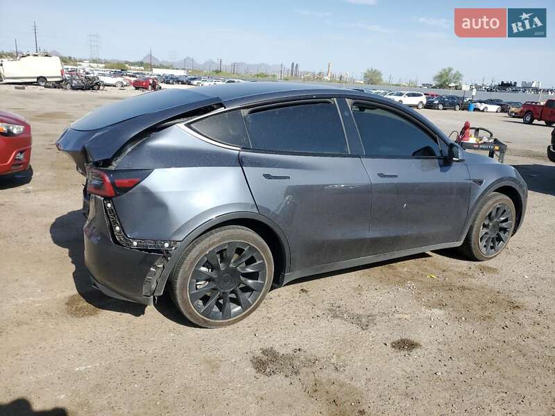 Внедорожник / Кроссовер Tesla Model Y 2023 в Киеве