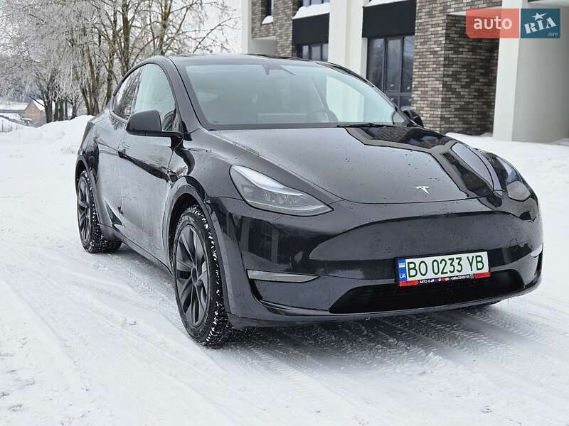 Внедорожник / Кроссовер Tesla Model Y 2024 в Тернополе