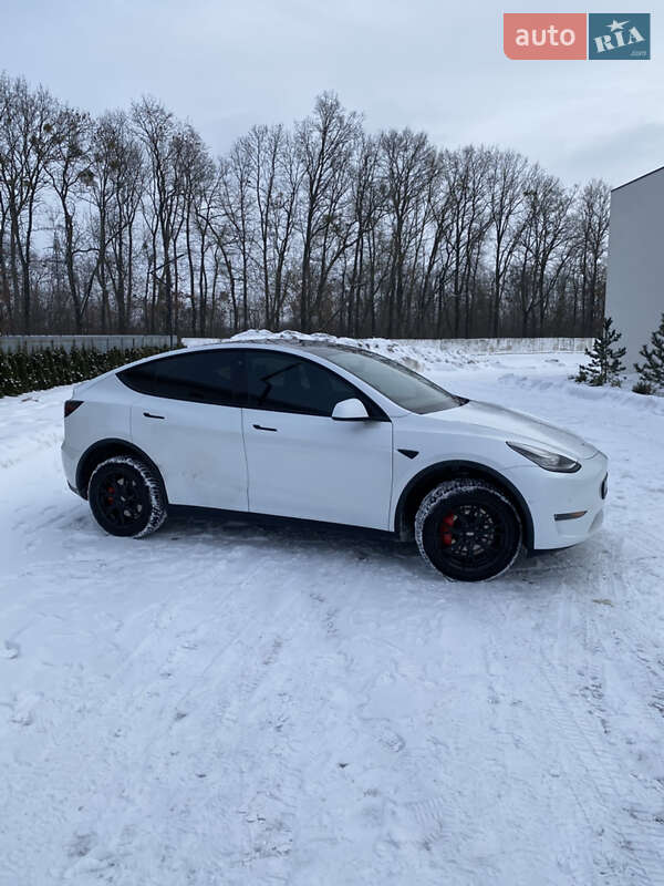 Позашляховик / Кросовер Tesla Model Y 2020 в Луцьку