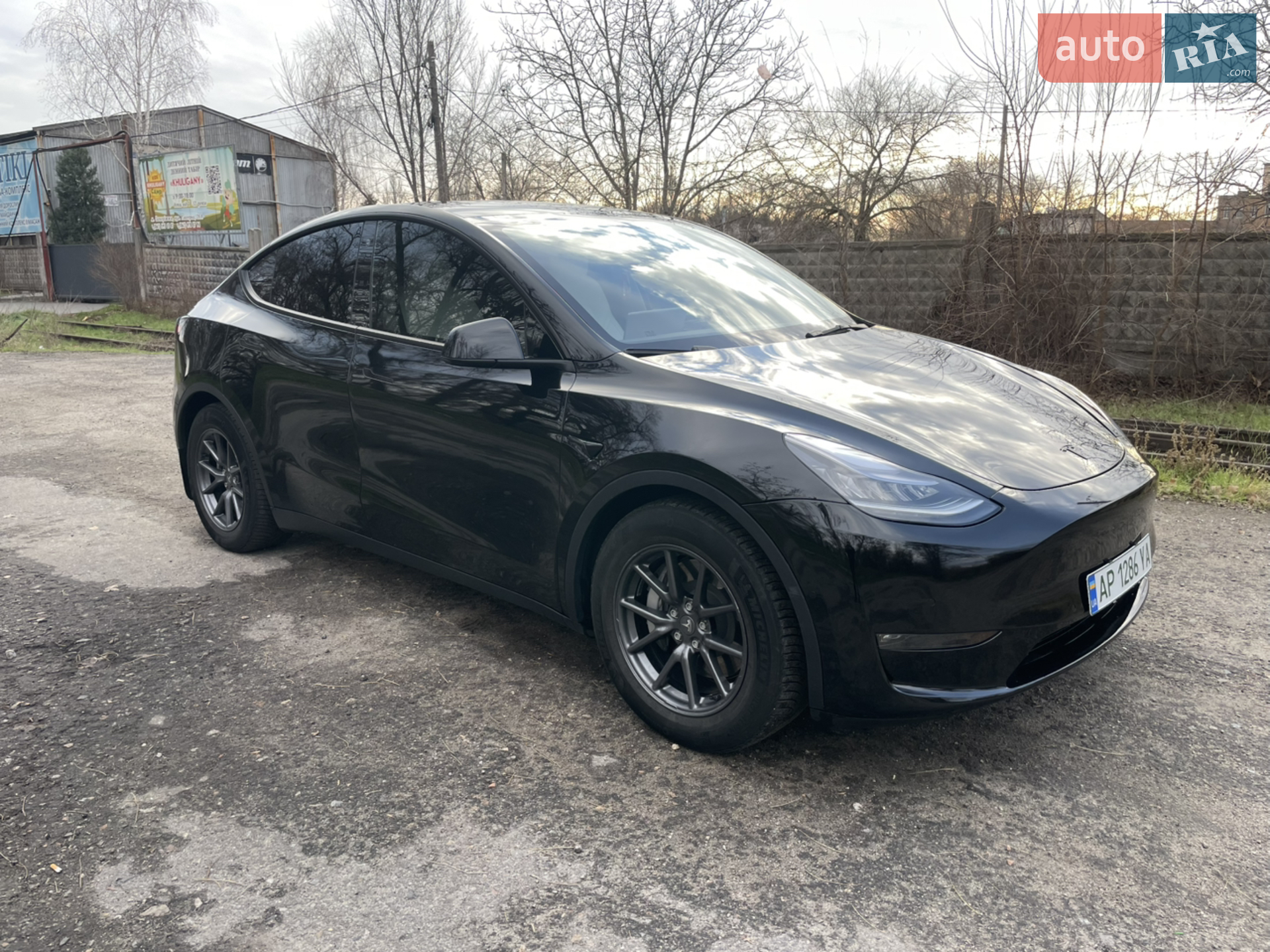 2021 Tesla Model Y - фото 1