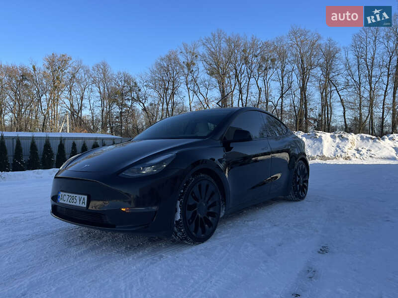 Позашляховик / Кросовер Tesla Model Y 2022 в Луцьку