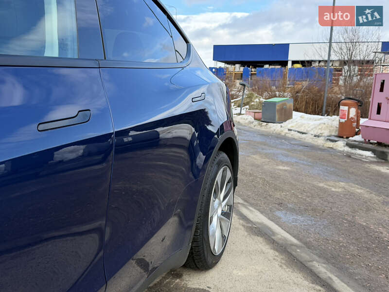 Внедорожник / Кроссовер Tesla Model Y 2021 в Дрогобыче