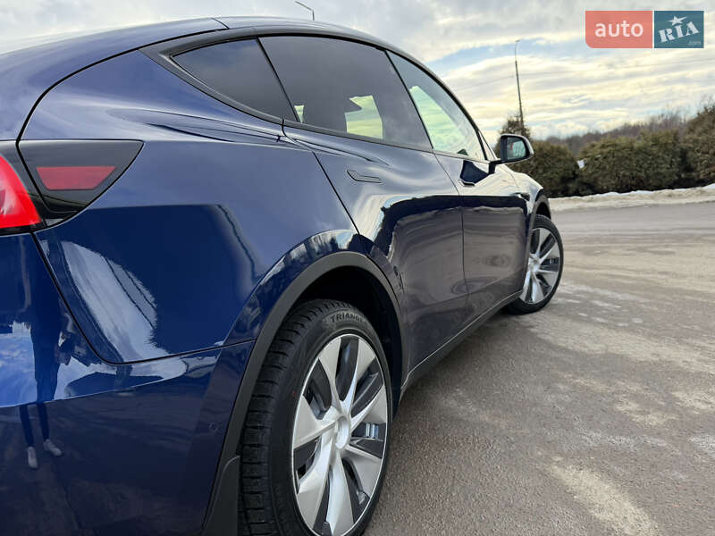 Внедорожник / Кроссовер Tesla Model Y 2021 в Дрогобыче