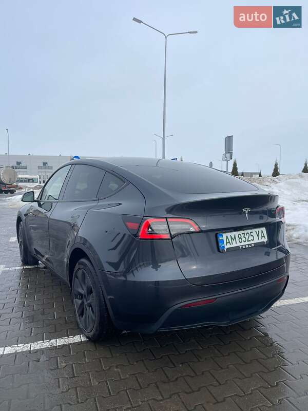 Позашляховик / Кросовер Tesla Model Y 2024 в Житомирі