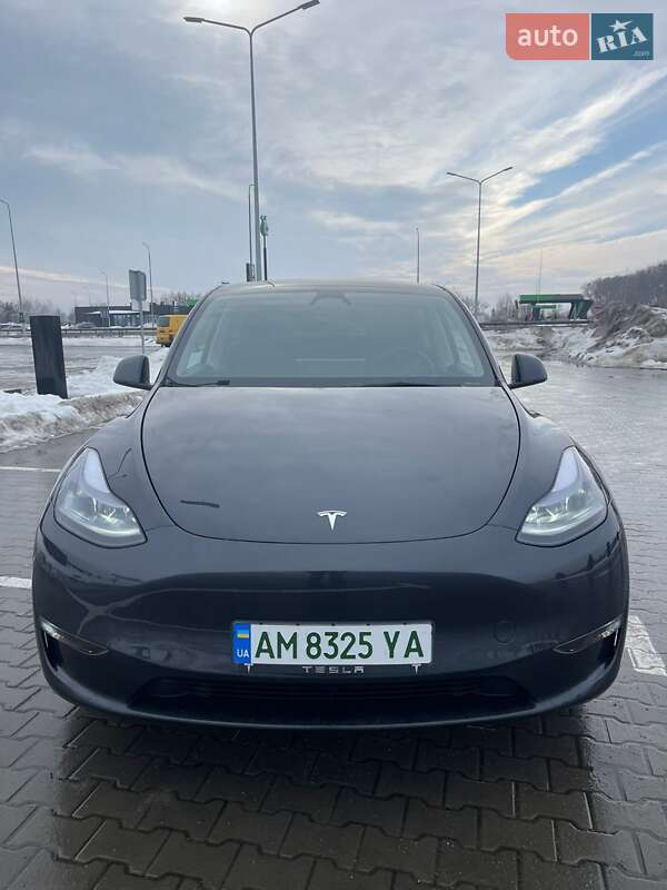 Позашляховик / Кросовер Tesla Model Y 2024 в Житомирі