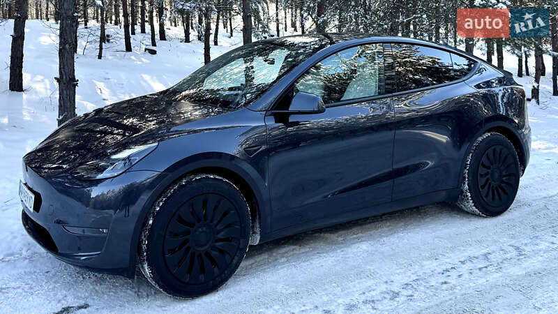 Внедорожник / Кроссовер Tesla Model Y 2024 в Броварах