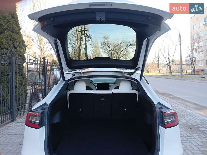 Позашляховик / Кросовер Tesla Model Y 2021 в Запоріжжі