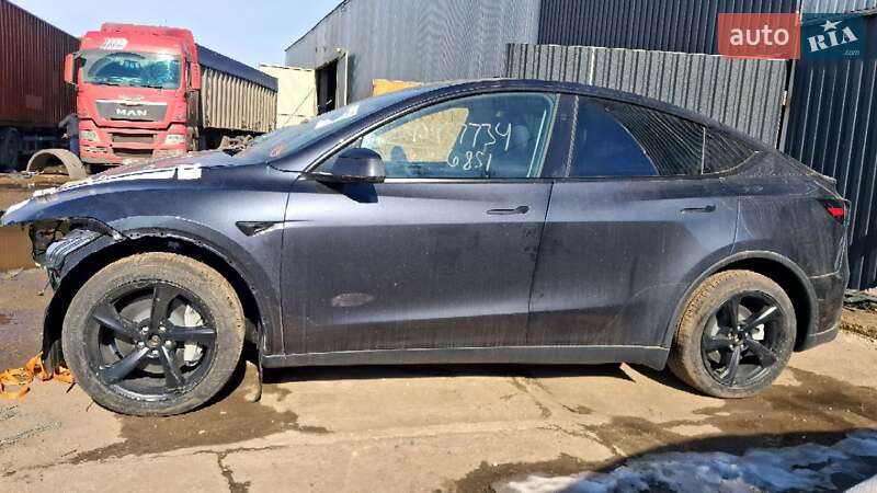 2025 Tesla Model Y, VIN 7SAYGDEE2TF336851:plate — zdjęcie 1 (autoria)
