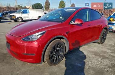 Внедорожник / Кроссовер Tesla Model Y 2020 в Тернополе