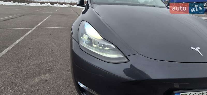 Позашляховик / Кросовер Tesla Model Y 2024 в Рівному