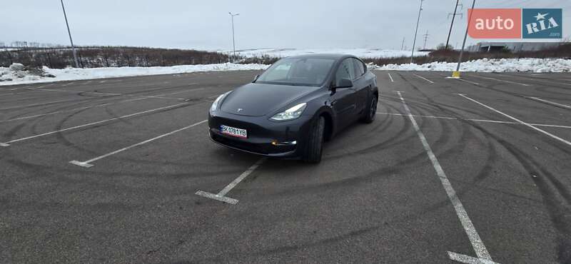 Позашляховик / Кросовер Tesla Model Y 2024 в Рівному