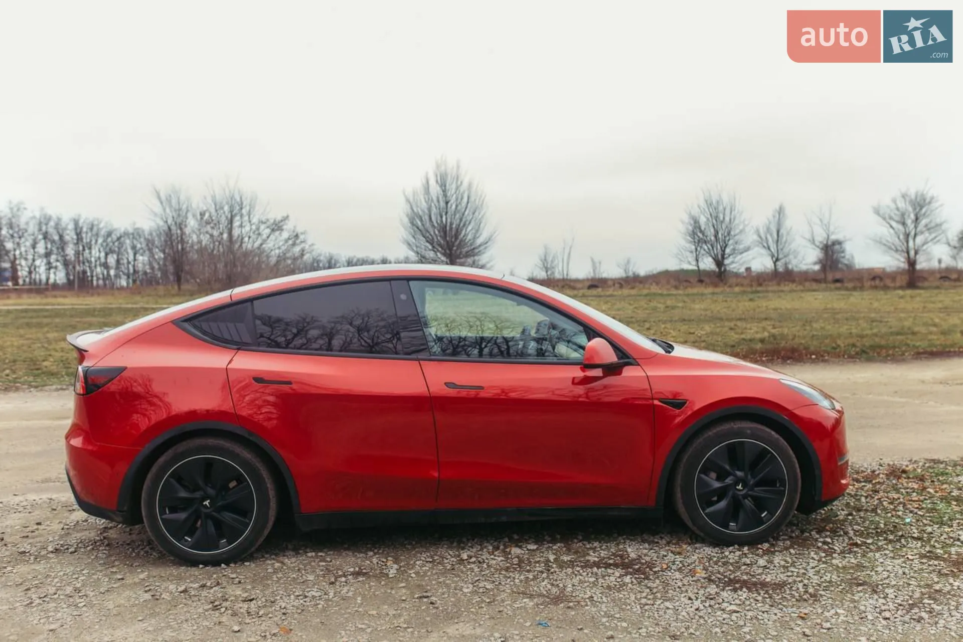 2020 Tesla Model Y - мініатюра 48