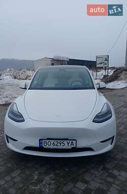 Внедорожник / Кроссовер Tesla Model Y 2021 в Теребовле