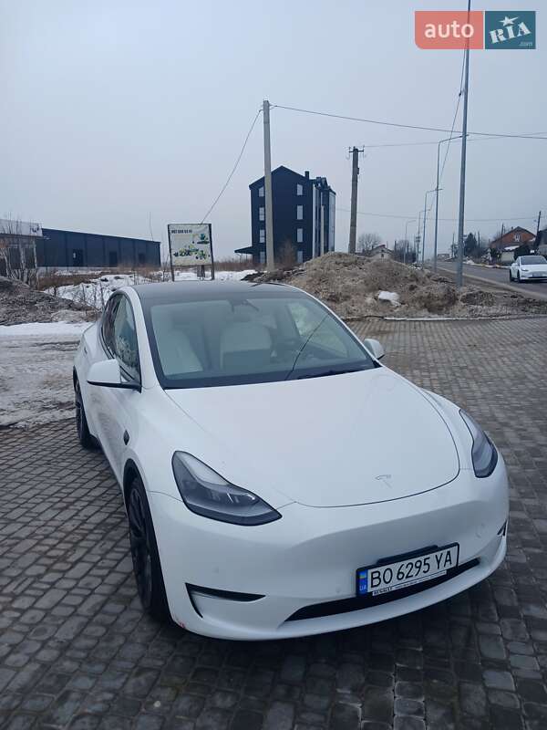 Позашляховик / Кросовер Tesla Model Y 2021 в Теребовлі