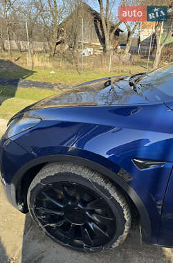 Внедорожник / Кроссовер Tesla Model Y 2021 в Моршине