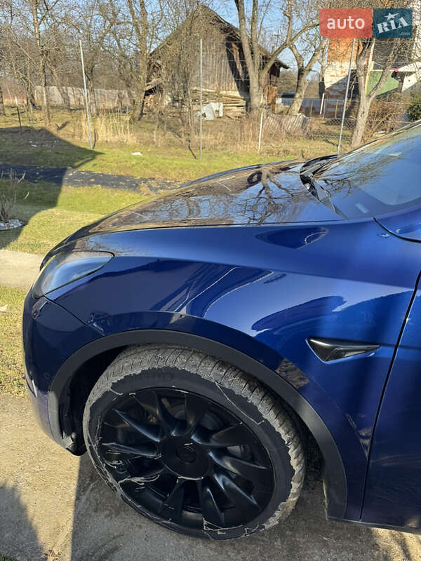 Внедорожник / Кроссовер Tesla Model Y 2021 в Моршине