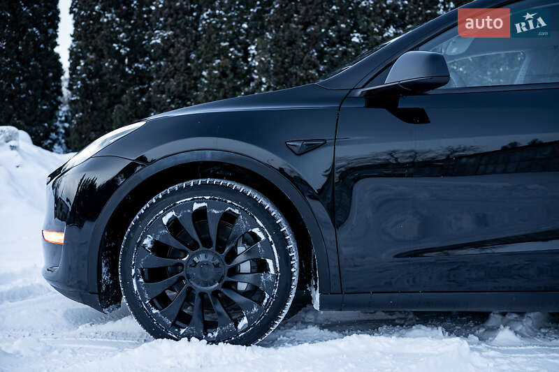 Позашляховик / Кросовер Tesla Model Y 2023 в Києві