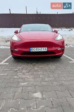 Внедорожник / Кроссовер Tesla Model Y 2021 в Тернополе