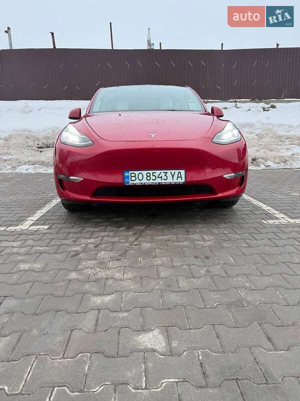 Внедорожник / Кроссовер Tesla Model Y 2021 в Тернополе