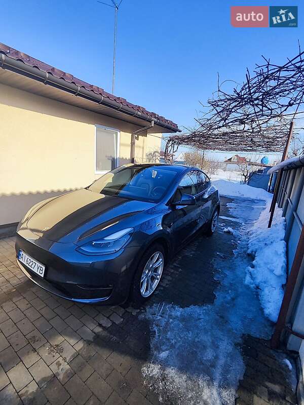 Внедорожник / Кроссовер Tesla Model Y 2023 в Борисполе