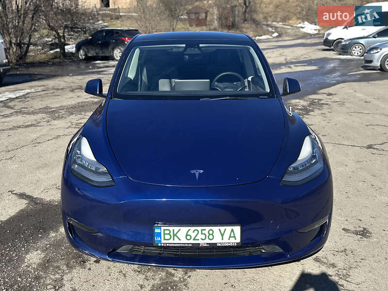 Позашляховик / Кросовер Tesla Model Y 2023 в Рівному