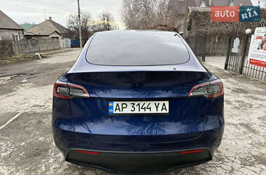 Внедорожник / Кроссовер Tesla Model Y 2023 в Запорожье
