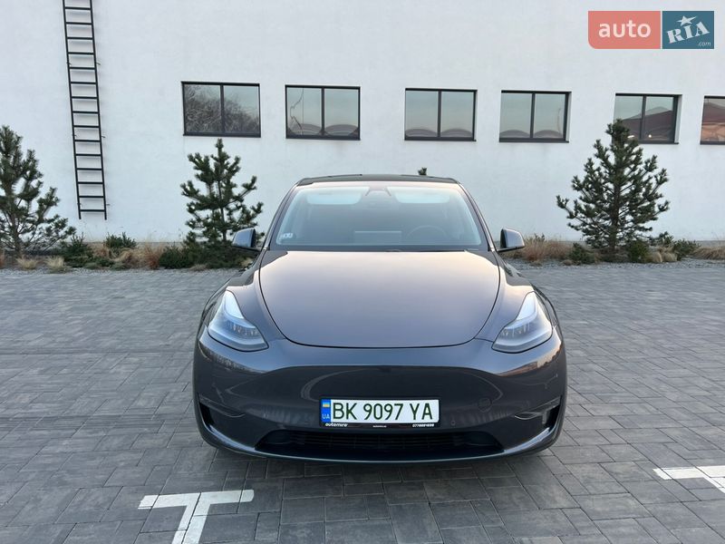 Внедорожник / Кроссовер Tesla Model Y 2020 в Луцке