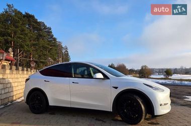 Позашляховик / Кросовер Tesla Model Y 2020 в Золочеві