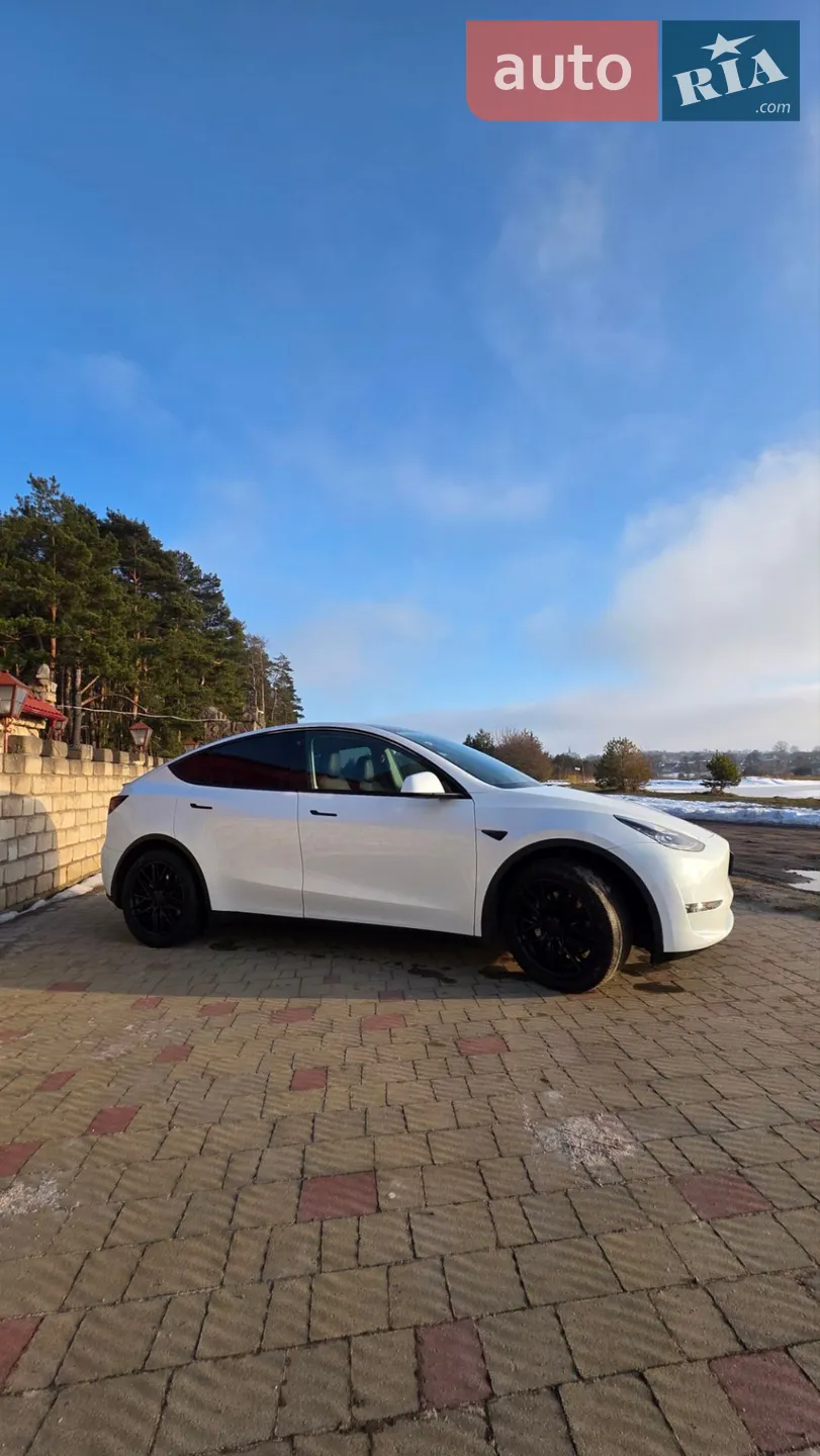 2020 Tesla Model Y - фото 1
