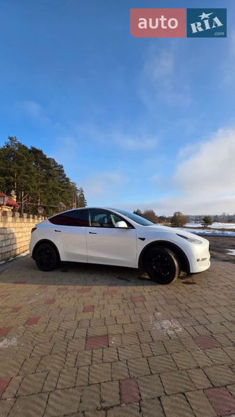 Внедорожник / Кроссовер Tesla Model Y 2020 в Золочеве