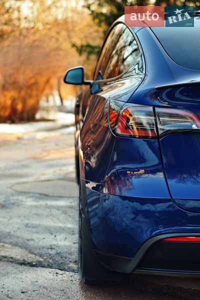 Позашляховик / Кросовер Tesla Model Y 2022 в Житомирі