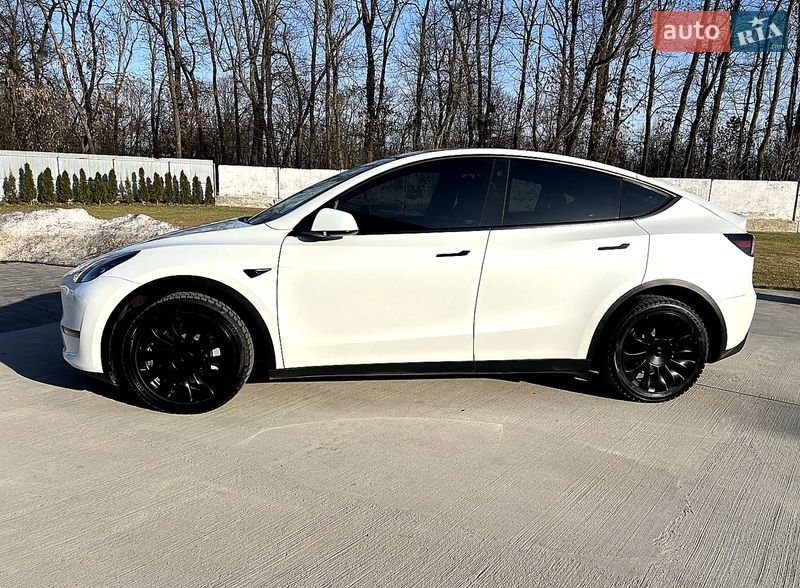 Внедорожник / Кроссовер Tesla Model Y 2023 в Луцке