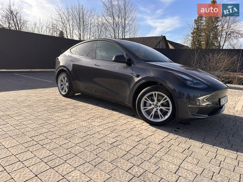 Внедорожник / Кроссовер Tesla Model Y 2024 в Самборе