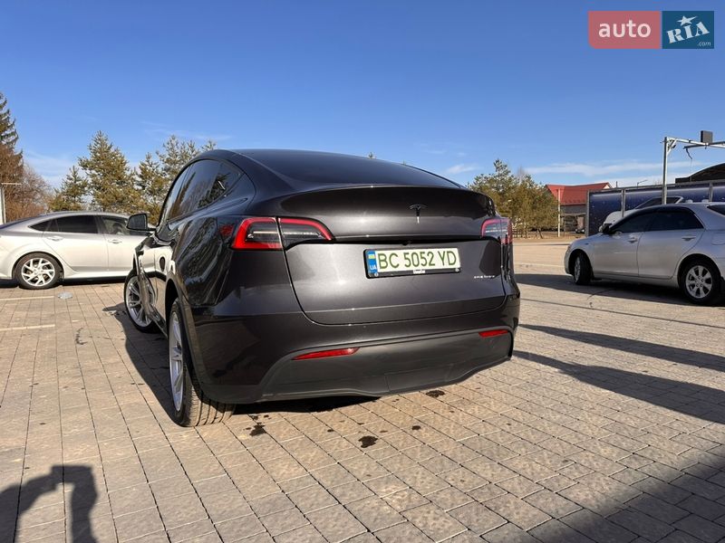 Внедорожник / Кроссовер Tesla Model Y 2024 в Самборе
