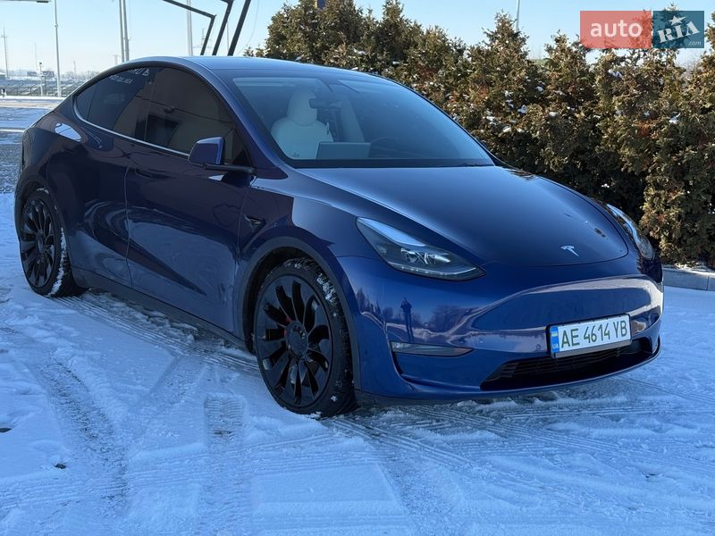 Внедорожник / Кроссовер Tesla Model Y 2022 в Днепре