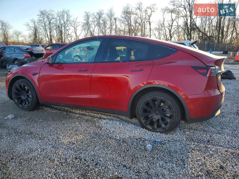 Внедорожник / Кроссовер Tesla Model Y 2021 в Киеве фото 2 Внедорожник / Кроссовер Tesla Model Y 2021 в Киеве