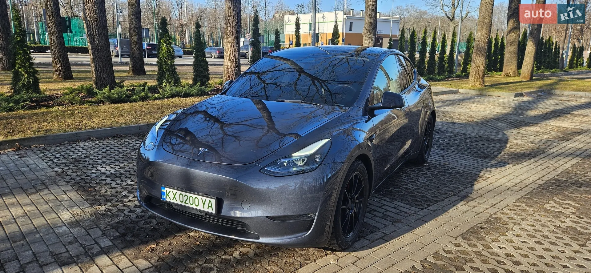 2023 Tesla Model Y - фото 1