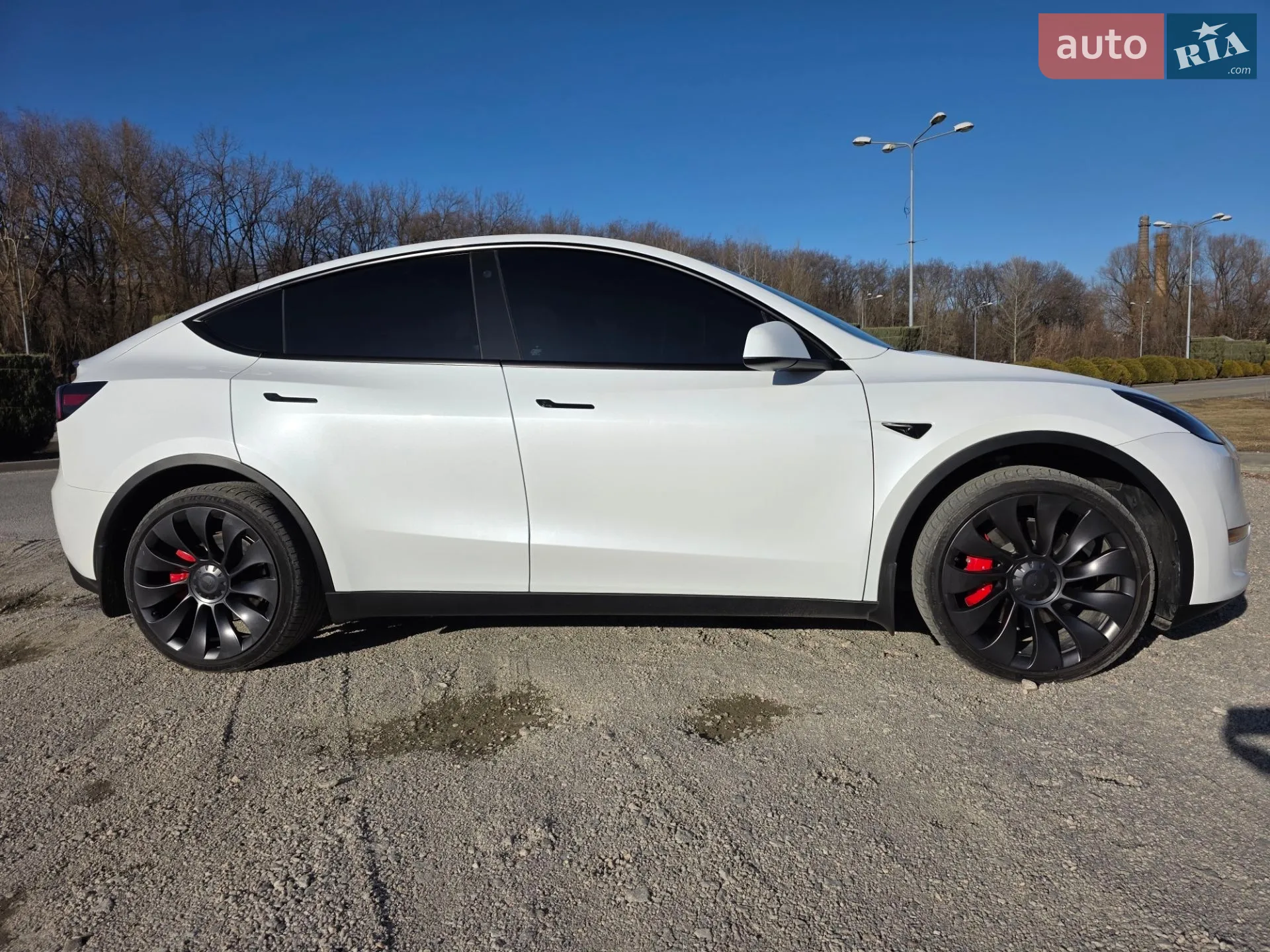 2023 Tesla Model Y - мініатюра 7