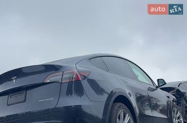 Позашляховик / Кросовер Tesla Model Y 2024 в Броварах