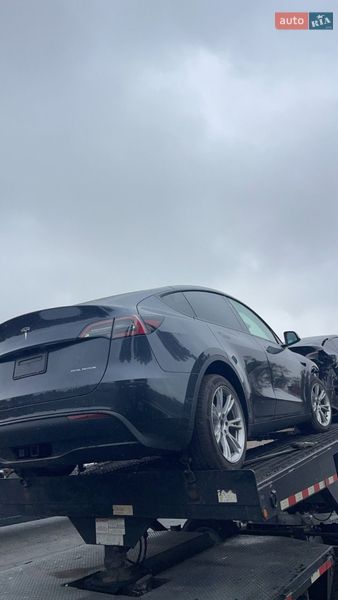 Позашляховик / Кросовер Tesla Model Y 2024 в Броварах
