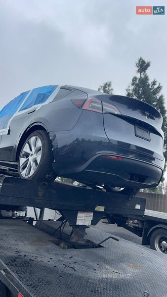Позашляховик / Кросовер Tesla Model Y 2024 в Броварах