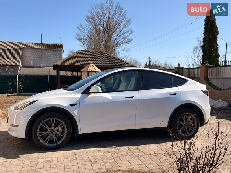 Внедорожник / Кроссовер Tesla Model Y 2024 в Фастове фото 10 Внедорожник / Кроссовер Tesla Model Y 2024 в Фастове