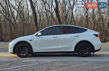 Внедорожник / Кроссовер Tesla Model Y 2023 в Днепре