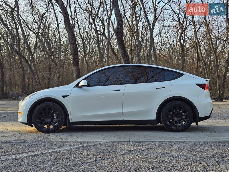 Внедорожник / Кроссовер Tesla Model Y 2023 в Днепре