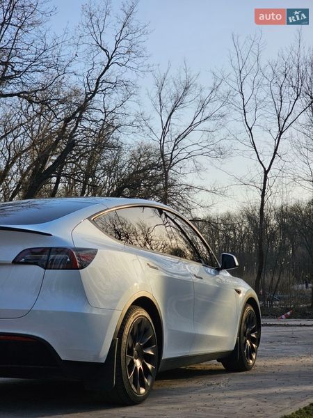 Внедорожник / Кроссовер Tesla Model Y 2023 в Днепре